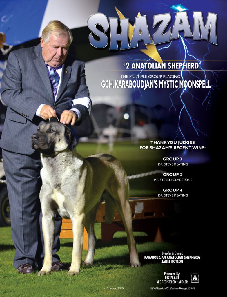 New Canine Chronicle ad for October 2015, Thomas Grabe publisher. "Shazam" GCH Karaboudjan's Mystic Moonspell