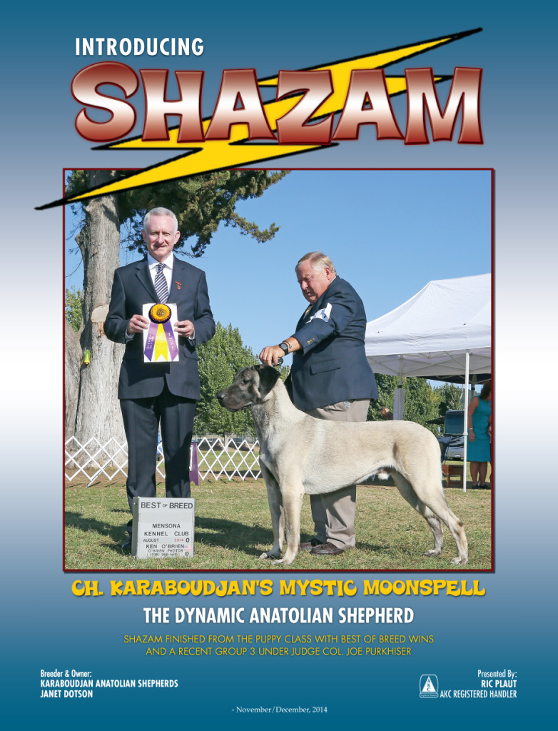 Canine Chronicle ad for November/December 2014