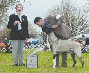My favorite show photo!