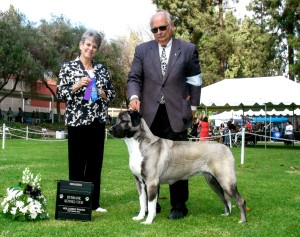 "Ziva" Karaboudjan's Dark Side of the Moon, owned by Sharron & Stan Dalton